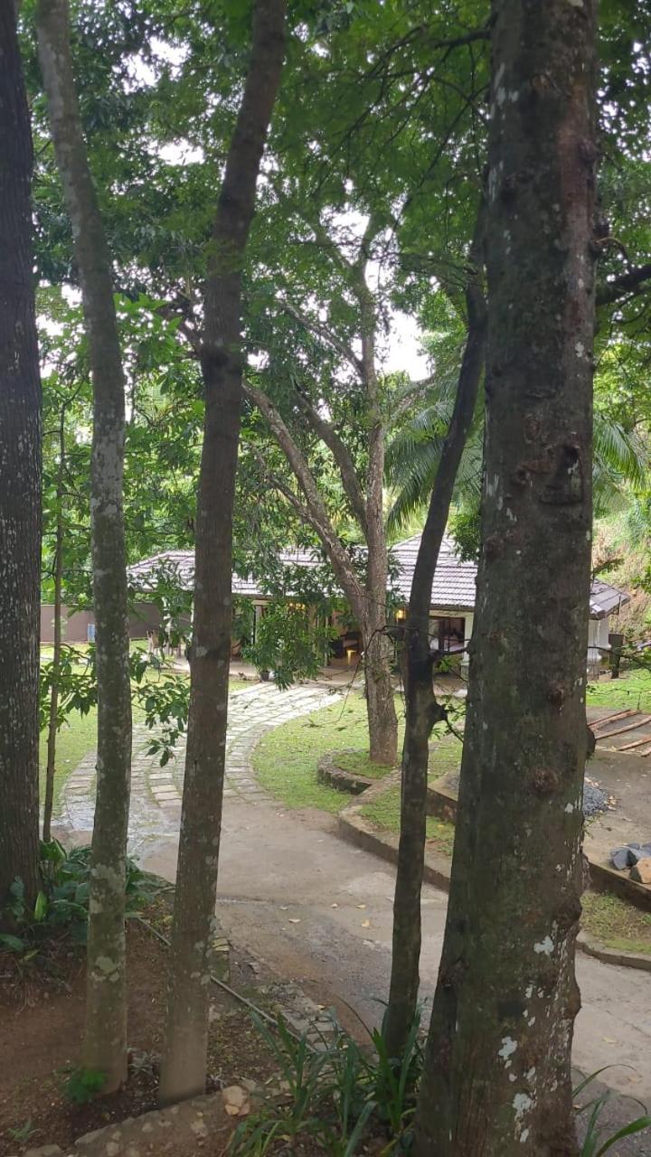 Villa D55 Kandy Exteriör bild