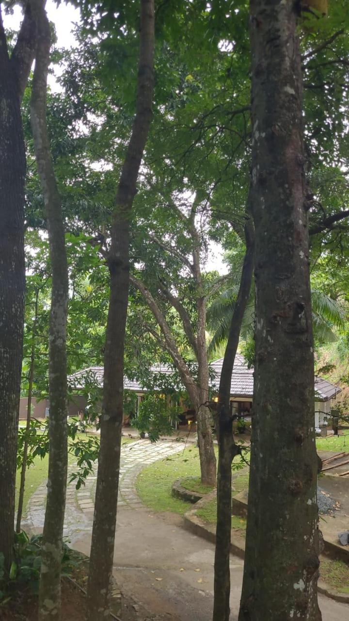 Villa D55 Kandy Exteriör bild